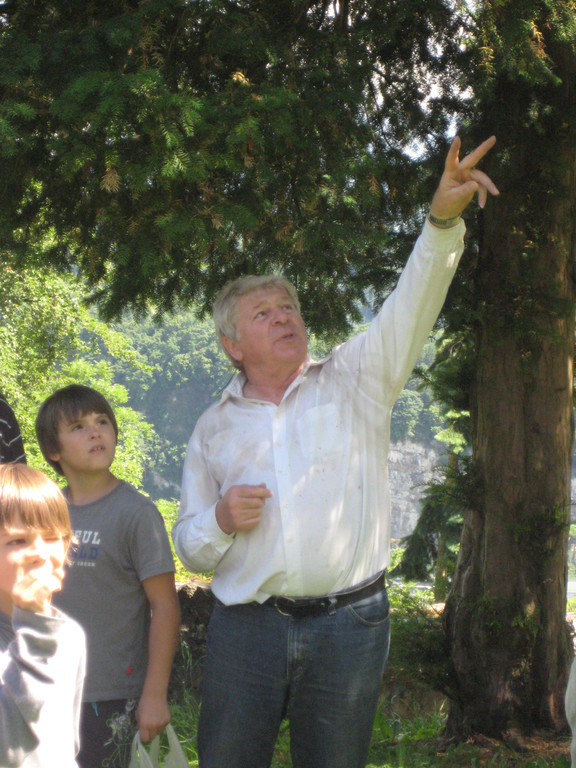 Waldtag 071.jpg