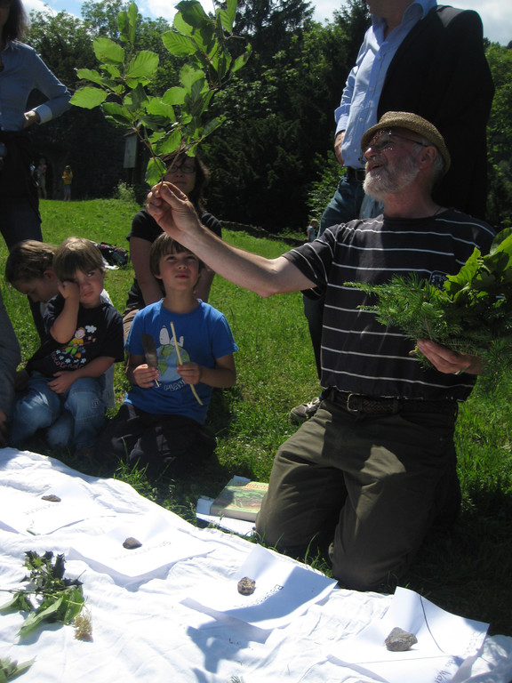 Waldtag 075.jpg