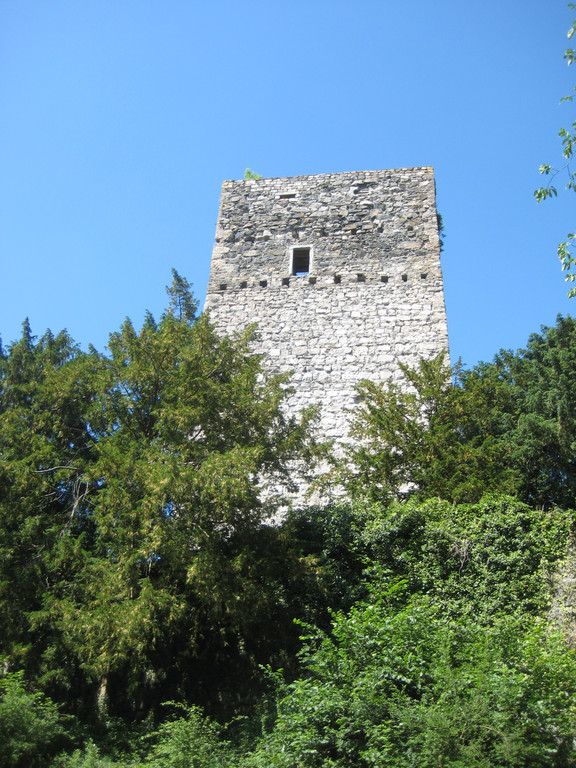 Waldtag 080.jpg