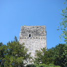 Waldtag 081.jpg