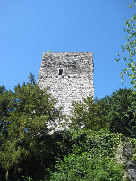 Waldtag 081.jpg