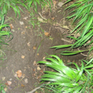 Waldtag 084.jpg