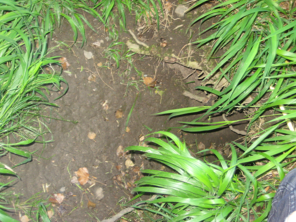 Waldtag 084.jpg