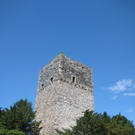 Waldtag 085.jpg