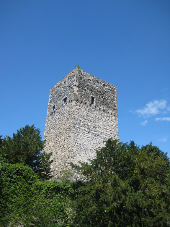 Waldtag 085.jpg