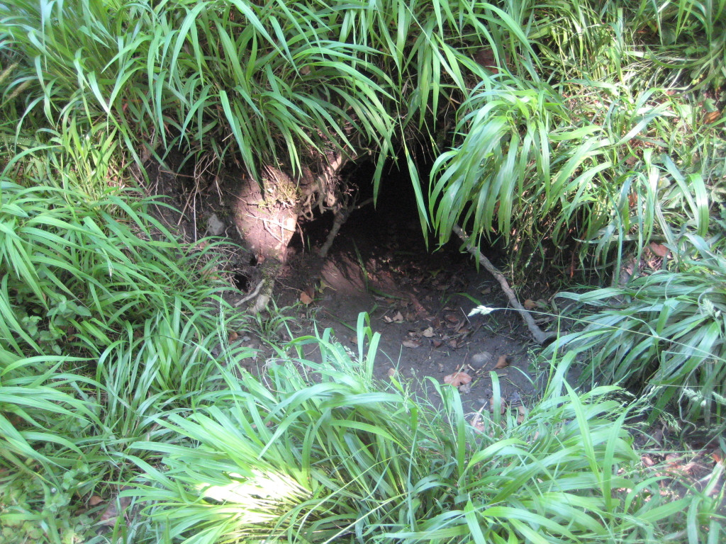 Waldtag 088.jpg