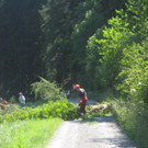 Waldtag 102.jpg