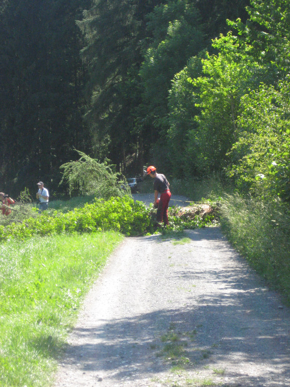 Waldtag 102.jpg