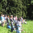 Waldtag 103.jpg