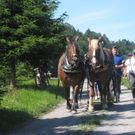 Waldtag 104.jpg