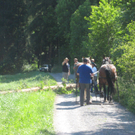 Waldtag 108.jpg