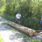 Waldtag 112.jpg