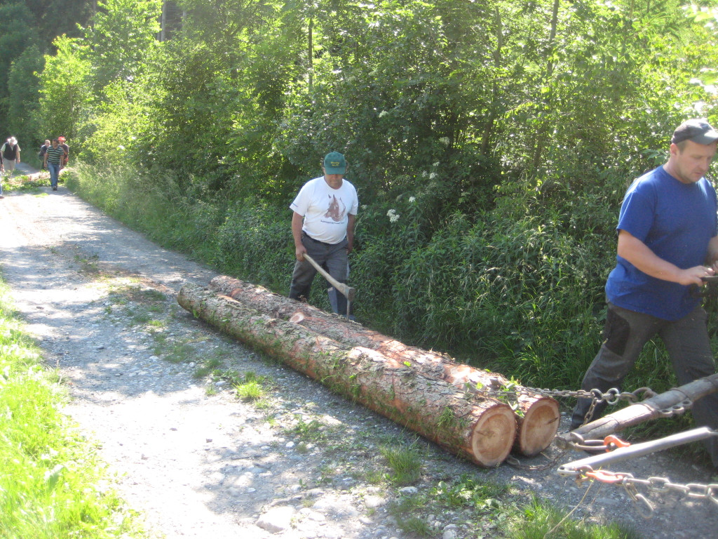 Waldtag 112.jpg