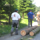 Waldtag 113.jpg