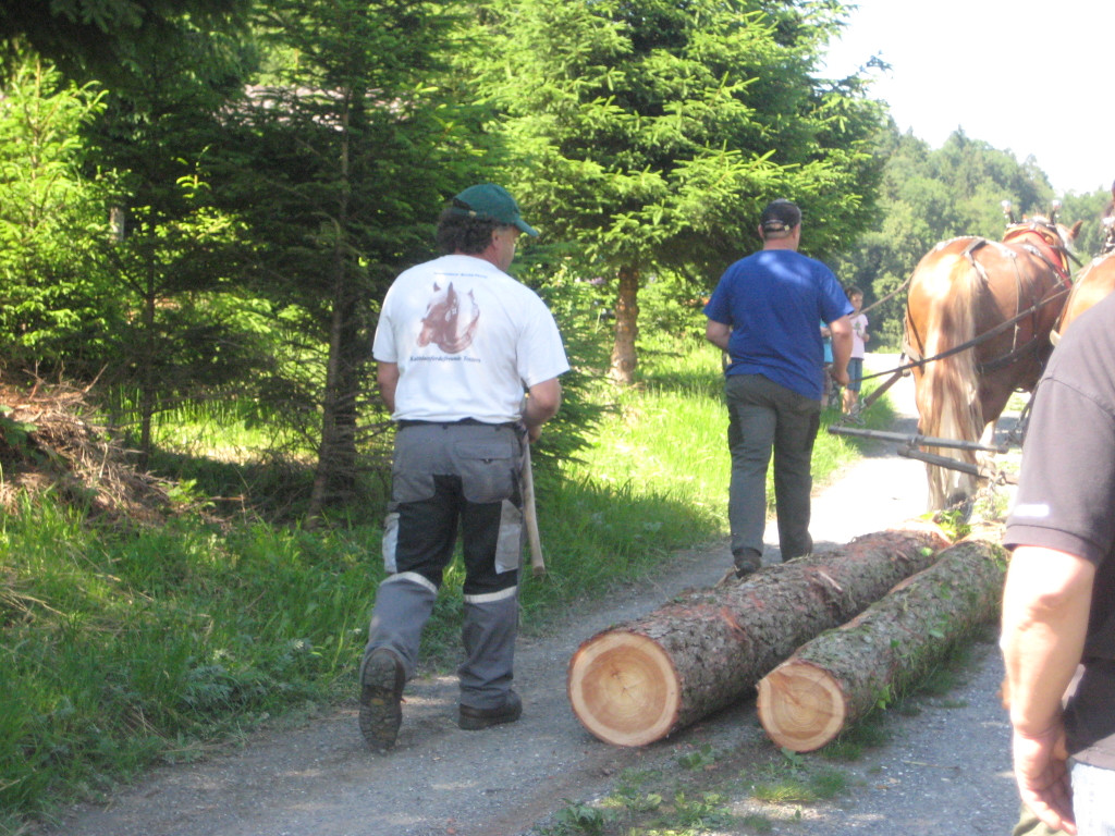 Waldtag 113.jpg
