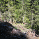 Bilder vom Unfallort