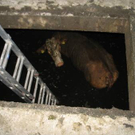 Einsatz_Karalm_002_4e44b110d8.jpg