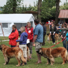 normal_28052011leonbergerschaufaaktivnews_06.jpg