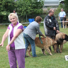 normal_28052011leonbergerschaufaaktivnews_17.jpg
