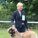 normal_28052011leonbergerschaufaaktivnews_25.jpg
