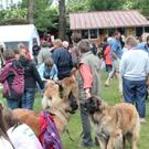 normal_28052011leonbergerschaufaaktivnews_27.jpg