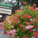 _DSC0468_bearbeitet-1_jpg-1306868405