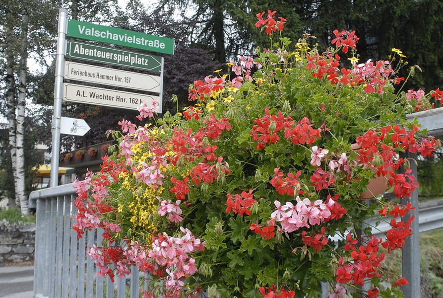 _DSC0468_bearbeitet-1_jpg-1306868405