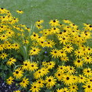 _DSC0487_bearbeitet-1_jpg-1306868451