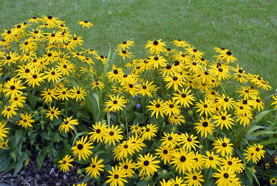 _DSC0487_bearbeitet-1_jpg-1306868451