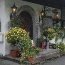 _DSC0555_bearbeitet-1_jpg-1306868725