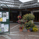 _DSC0514_bearbeitet-1_jpg-1306868564