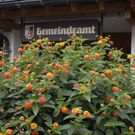 _DSC0519_bearbeitet-1_jpg-1306868621