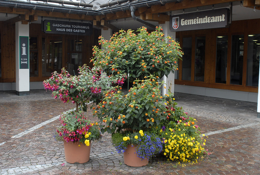 _DSC0526_bearbeitet-1_jpg-1306868656