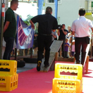 111_2490_JPG-1306882723