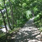IMG_3601_3.JPG