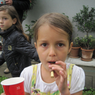 IMG_8393_JPG-1306953816