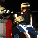 normal_02062011bachrlaktivnews_20_62_.jpg