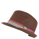 Fedora - Brown.jpg