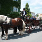IMG_0972_JPG-1307050320