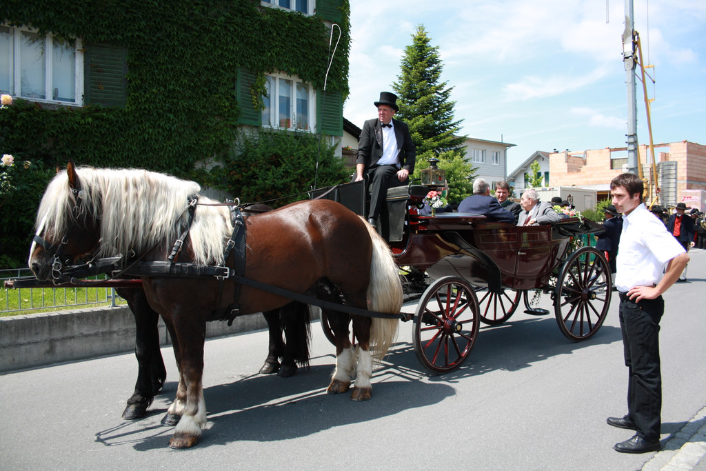 IMG_0972_JPG-1307050320