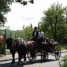 IMG_0989_JPG-1307050837
