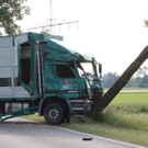 normal_03062011schweinelasterfaaktivnews_001.jpg
