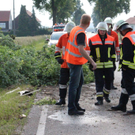 normal_03062011schweinelasterfaaktivnews_004.jpg