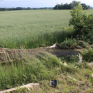 normal_03062011schweinelasterfaaktivnews_010.jpg