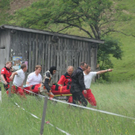 Bilder vom Motorradunfall