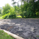 Schaugarten Pflanzen in Höchst