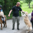 Pferderanch von Jeanette Wohlgenannt