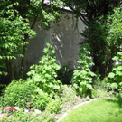 DSCN8160_JPG-1307177715