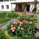 DSCN8165_JPG-1307177764
