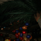 IMG_2418_jpg-1307176964.jpg